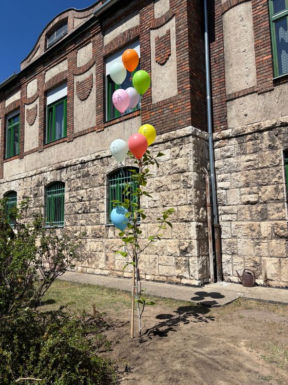 Bolondballagás 2026